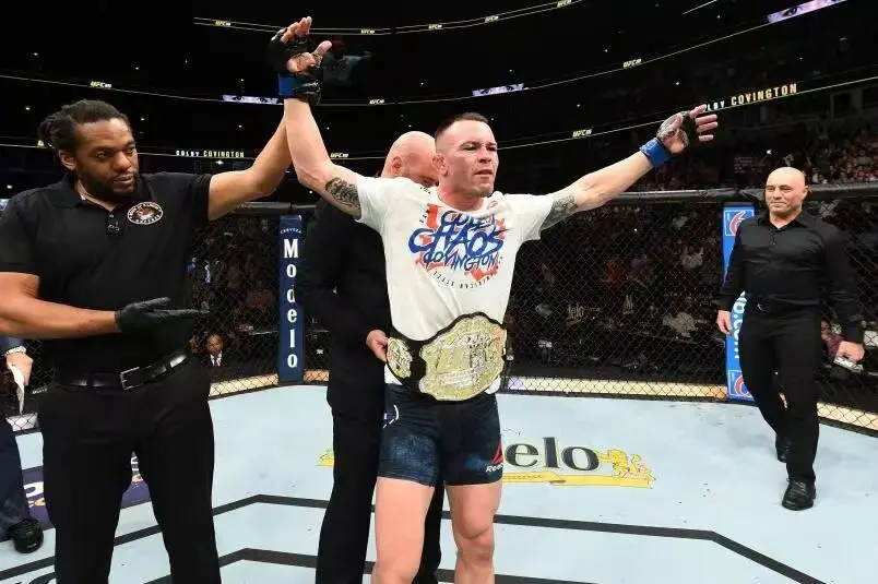 alt, 的身体打击, 作死网红踢