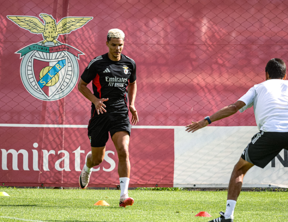 每月, 好评 每月, 好评